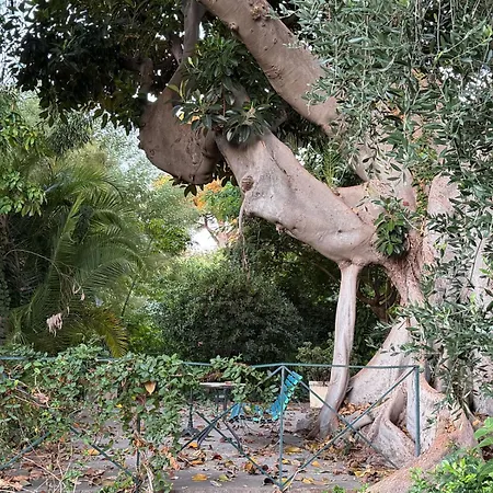 Riviera Historic Imperial Sea And Garden Apartment Menton